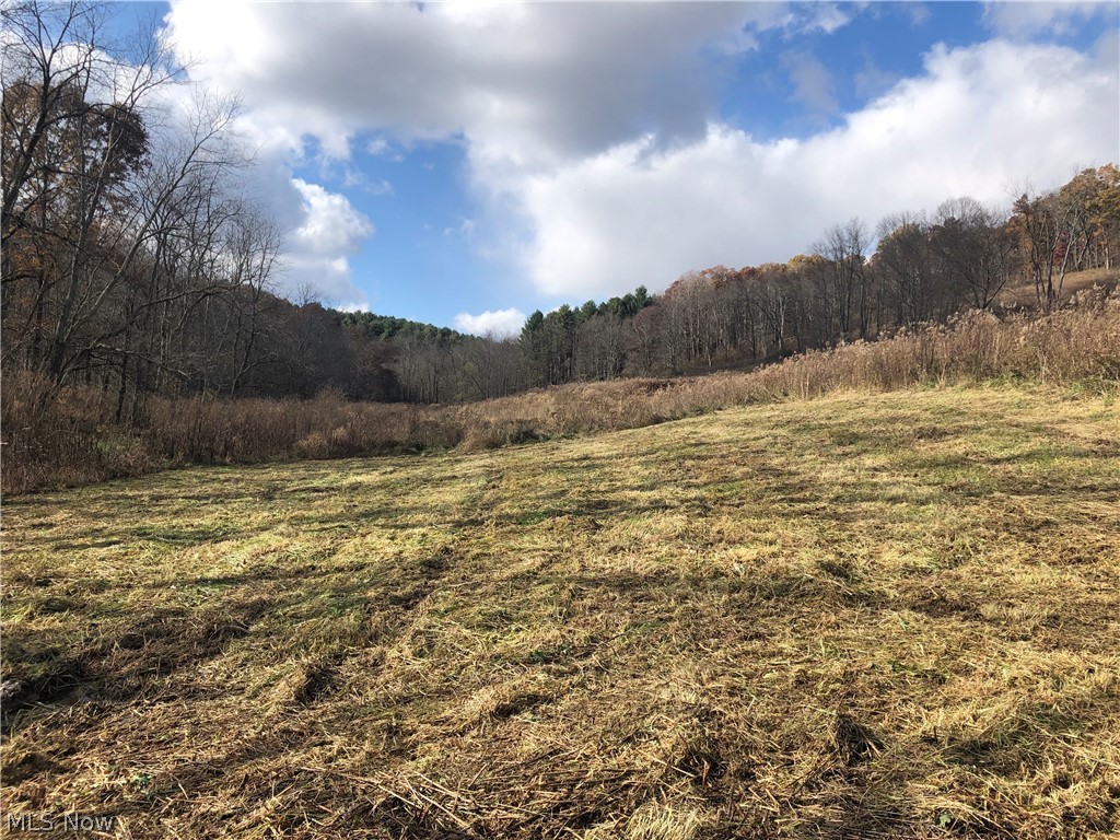3055 Gorge Road Southwest Carrollton, OH 44615 - Photo 10 of 23