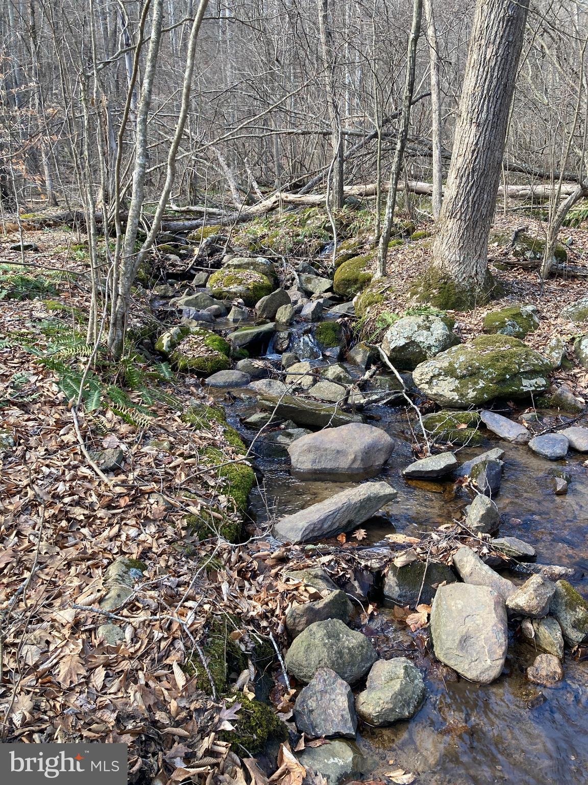 Hardscrabble Road Linden, VA 22642 - Photo 6 of 16
