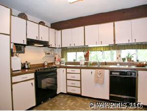 113 Long Branch Road Swannanoa, NC 28778 - Photo 3 of 9 Gallery Image 3