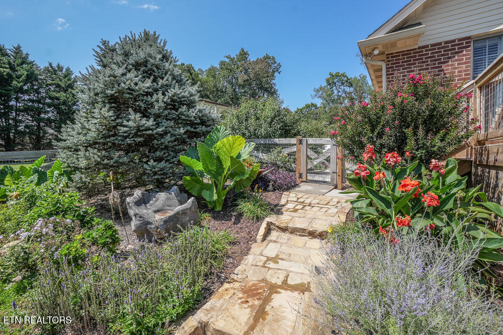 4152 Mint Road Maryville, TN 37803 - Photo 36 of 60 DSC01719