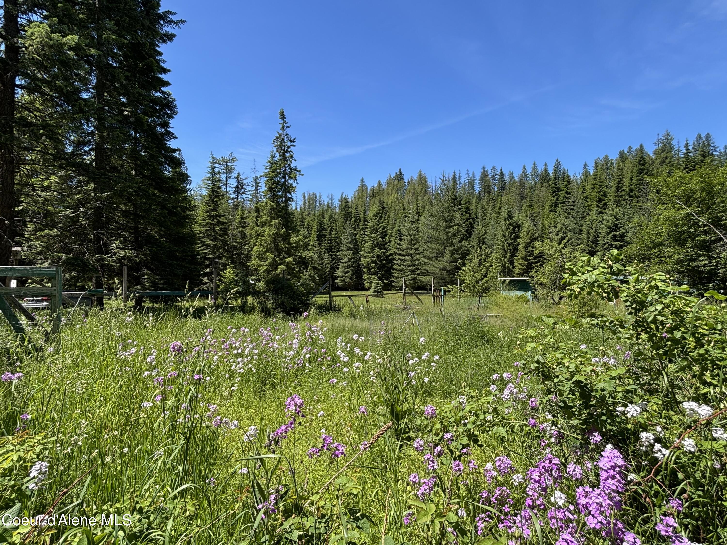 2216 Mosquito Creek Road Clark Fork, ID 83811 - Photo 38 of 47 037 Garden flowers