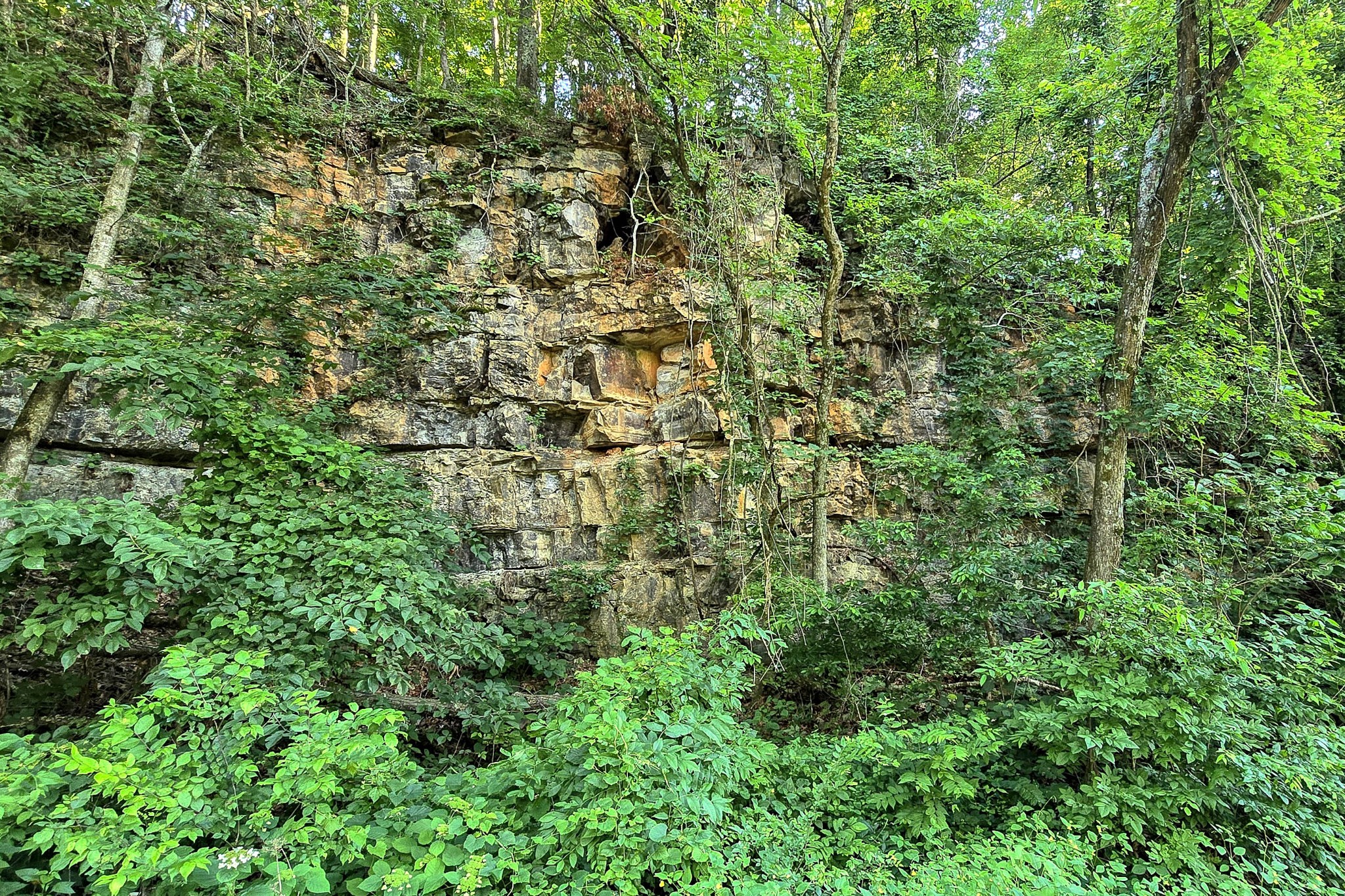 8157 Highway 49 Springfield, TN 37172 - Photo 47 of 56