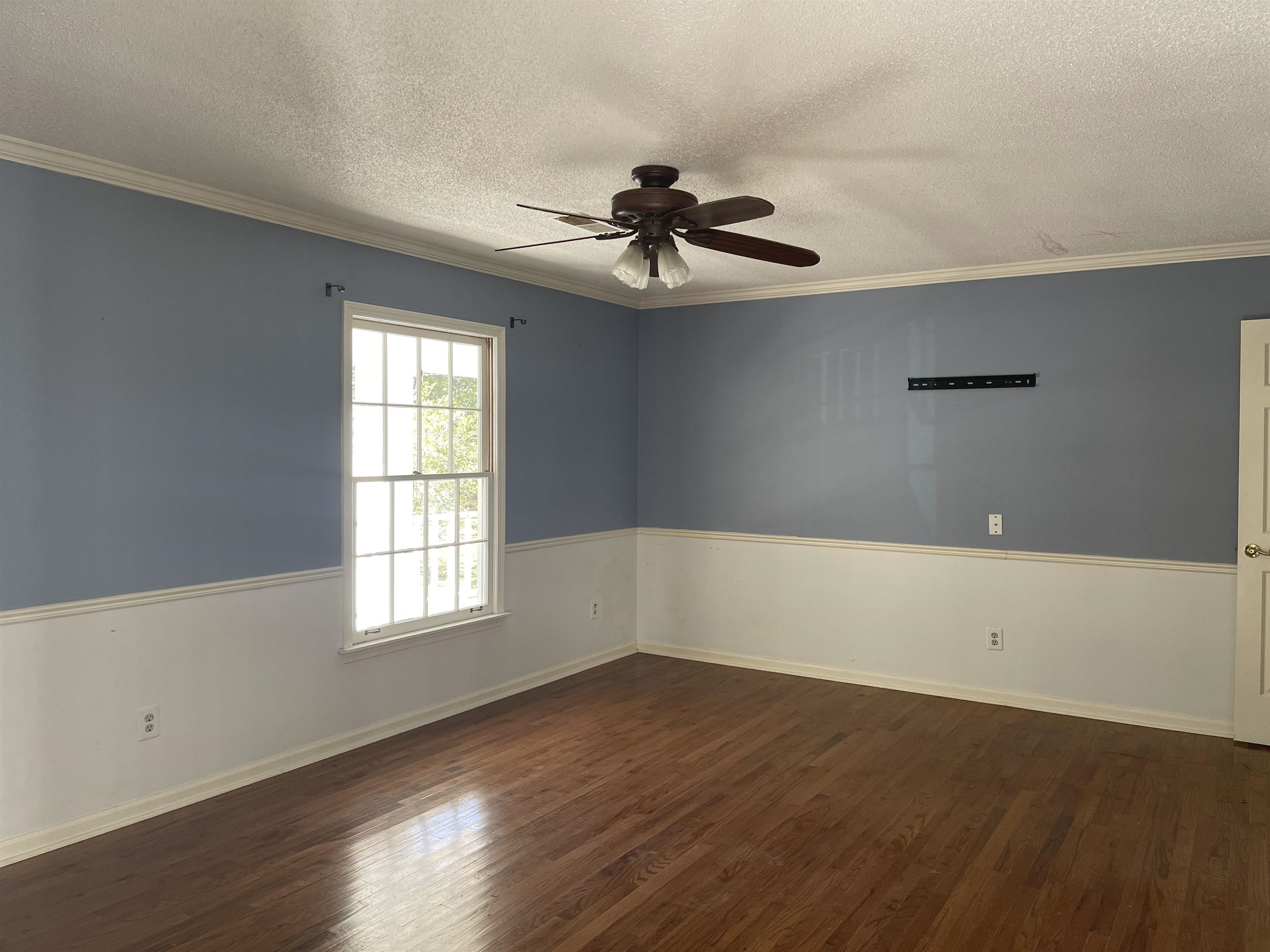 9220 Davies Plantation Road Bartlett, TN 38133 - Photo 9 of 19 Primary bedroom with ceiling fan, a textured ceiling, dark hardwood / wood-style flooring, and ornamental molding