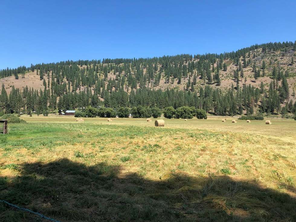 2986 B Red Marble Road Chewelah, WA 99109 - Photo 3 of 16 Gallery Image 3