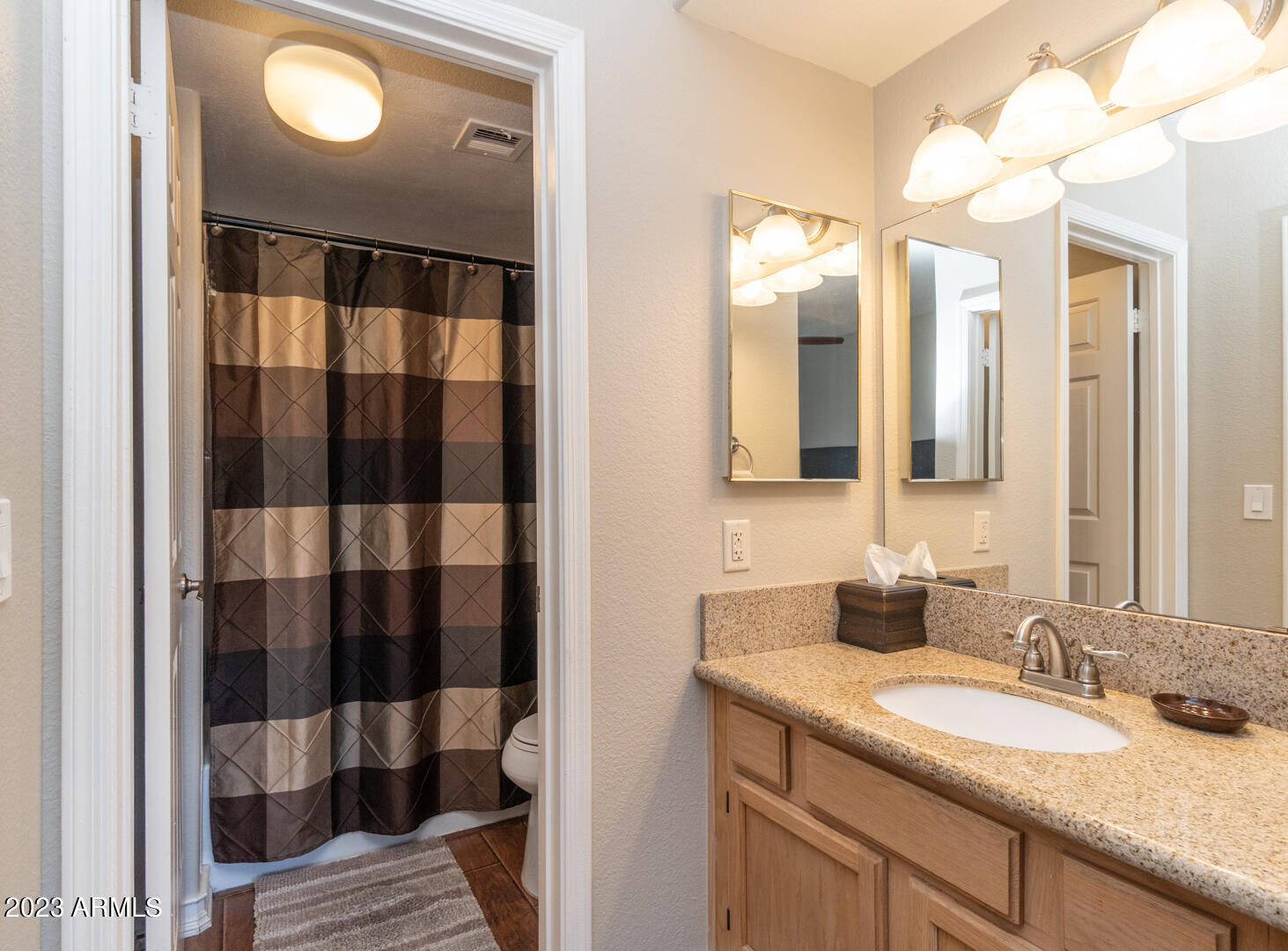 1825 West Ray Road, Unit 1059 Chandler, AZ 85224 - Photo 15 of 48 Owners_Suite_and_Bath (3)
