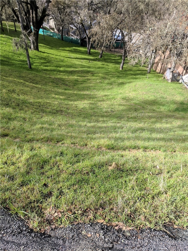 2621 Crows Nest Loop Bradley, CA 93426 - Photo 2 of 16 a garden view