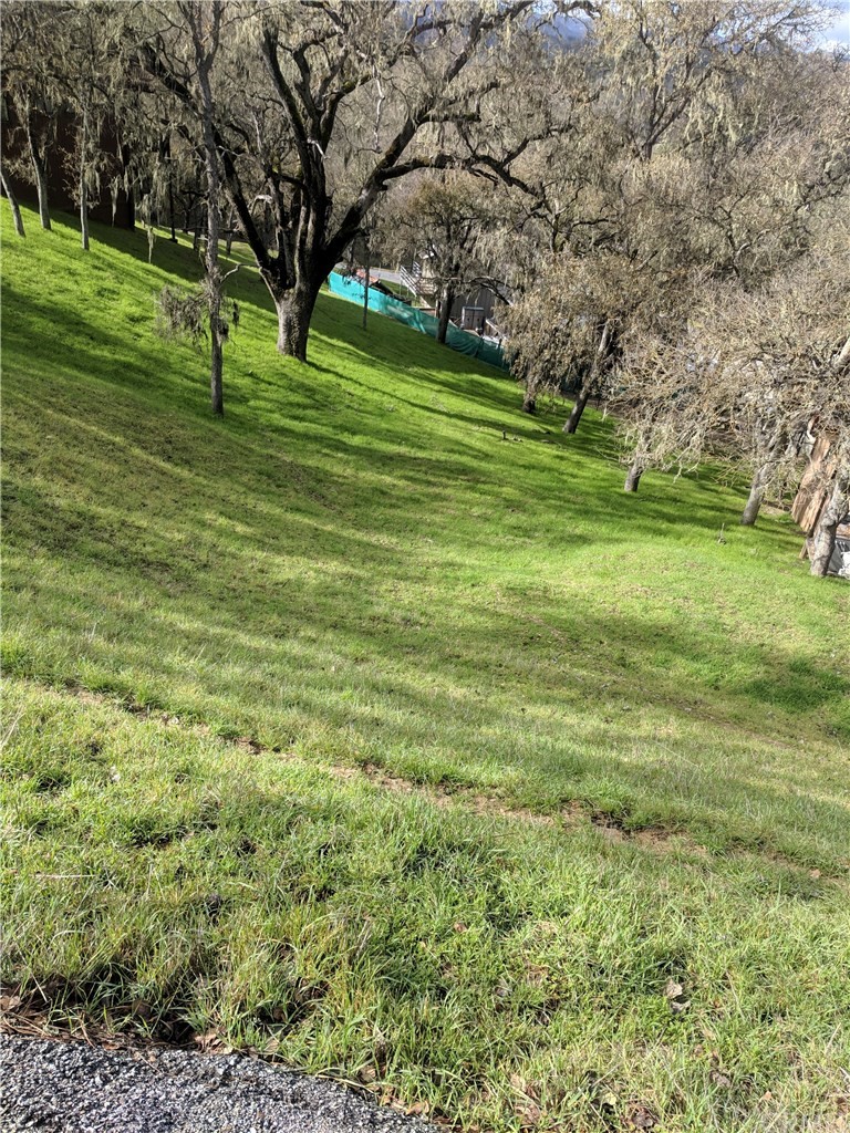 2621 Crows Nest Loop Bradley, CA 93426 - Photo 3 of 16 a big yard with lots of green space and trees