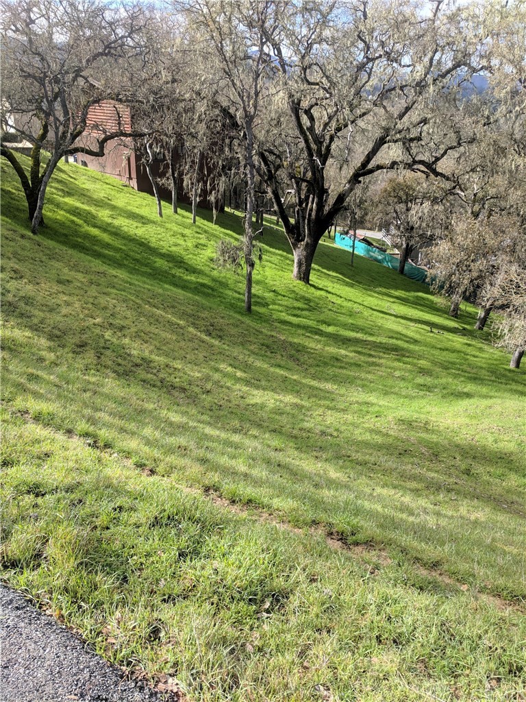 2621 Crows Nest Loop Bradley, CA 93426 - Photo 4 of 16 a view of a green field