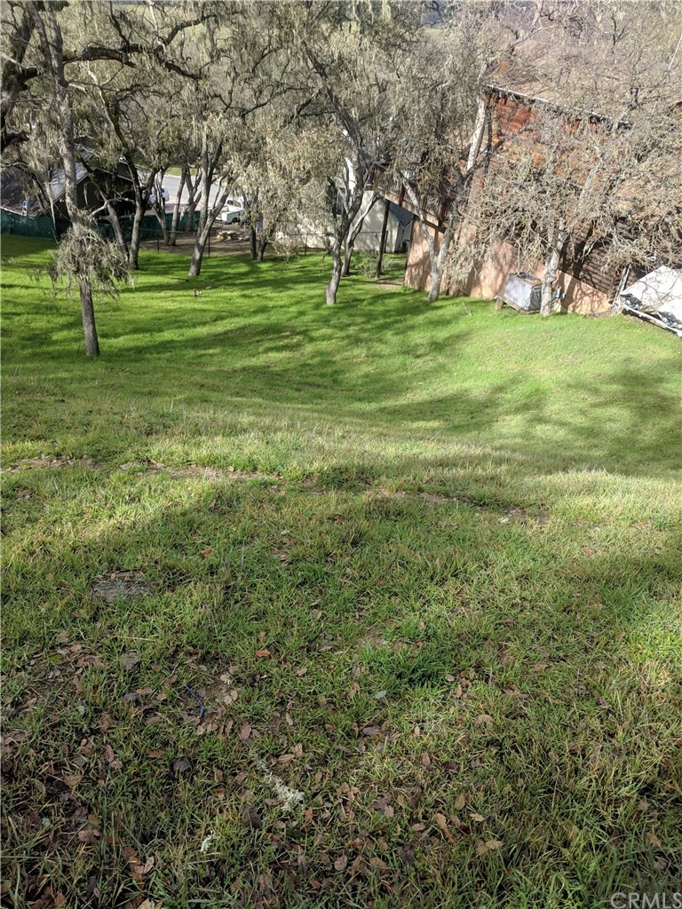2621 Crows Nest Loop Bradley, CA 93426 - Photo 8 of 16 a view of a park with large trees