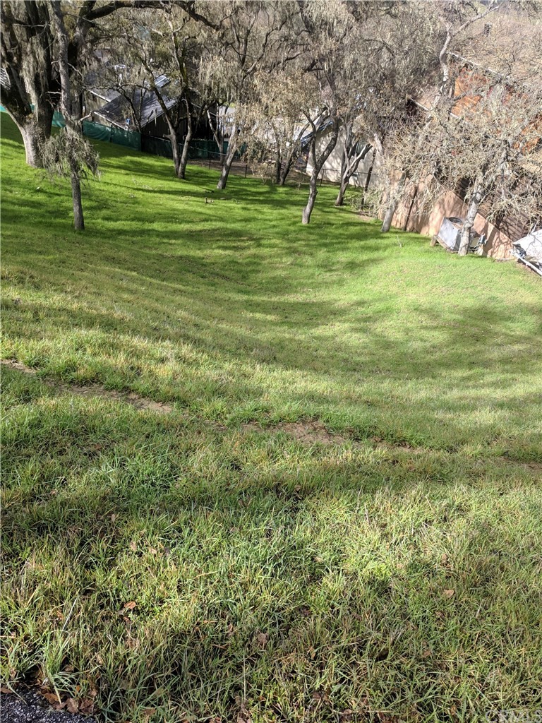 2621 Crows Nest Loop Bradley, CA 93426 - Photo 9 of 16 a big yard with lots of green space and trees