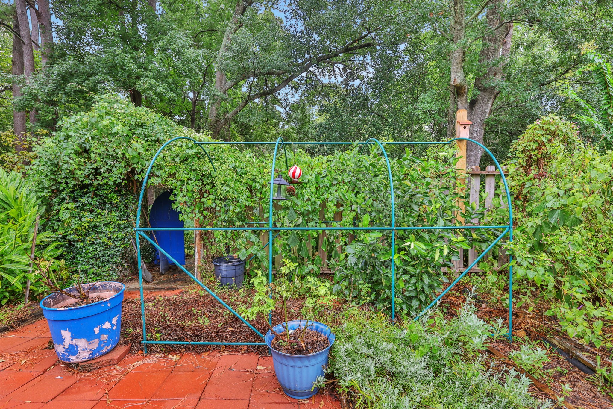 300 Timber Lane Coldspring, TX 77331 - Photo 35 of 43 Plant your own fresh vegetables right here