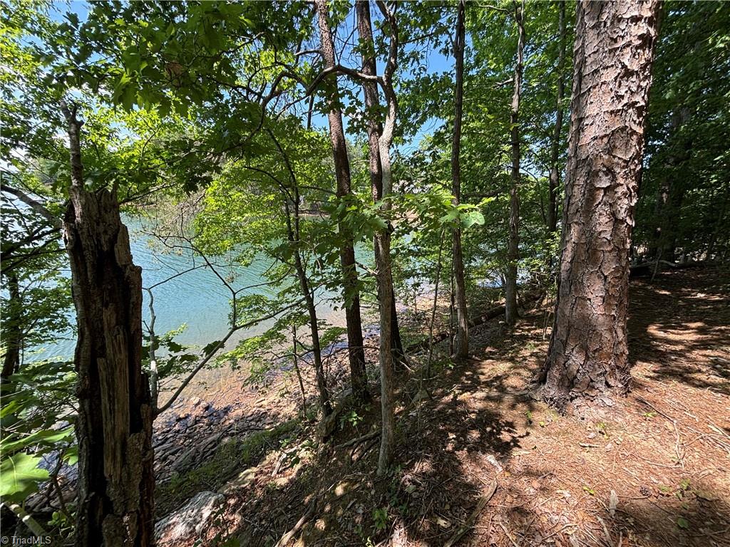 145 Beacon Ridge Drive Stony Point, NC 28678 - Photo 9 of 14 Gallery Image 9