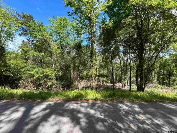 $25,000 | 13808 County Road 1250, Tyler, TX 75709