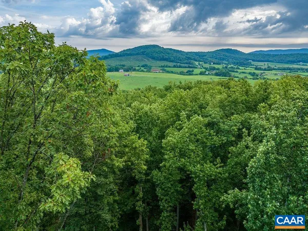 a view of a green field with lots of bushes