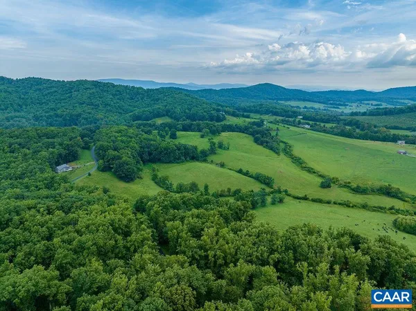 a view of a lush green outdoor space with a sink