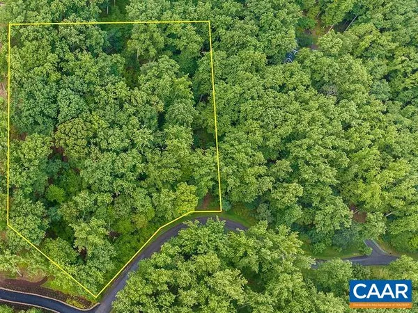 a view of a yard with plants