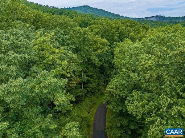 a view of a lush green forest with lots of trees