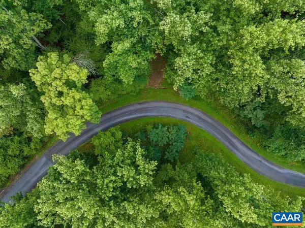 a view of a yard in a garden