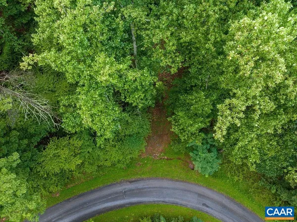a view of a lush green forest with lots of trees