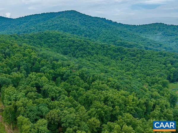 a view of a big yard