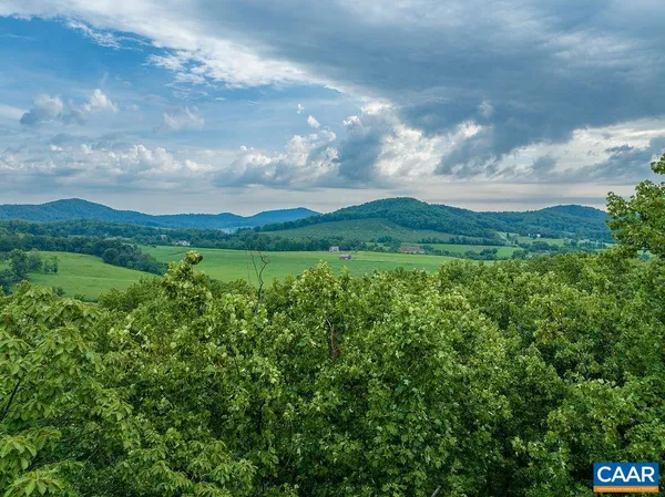 a view of a green field with lots of bushes