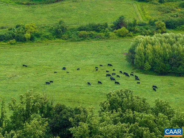 a view of a lush green field