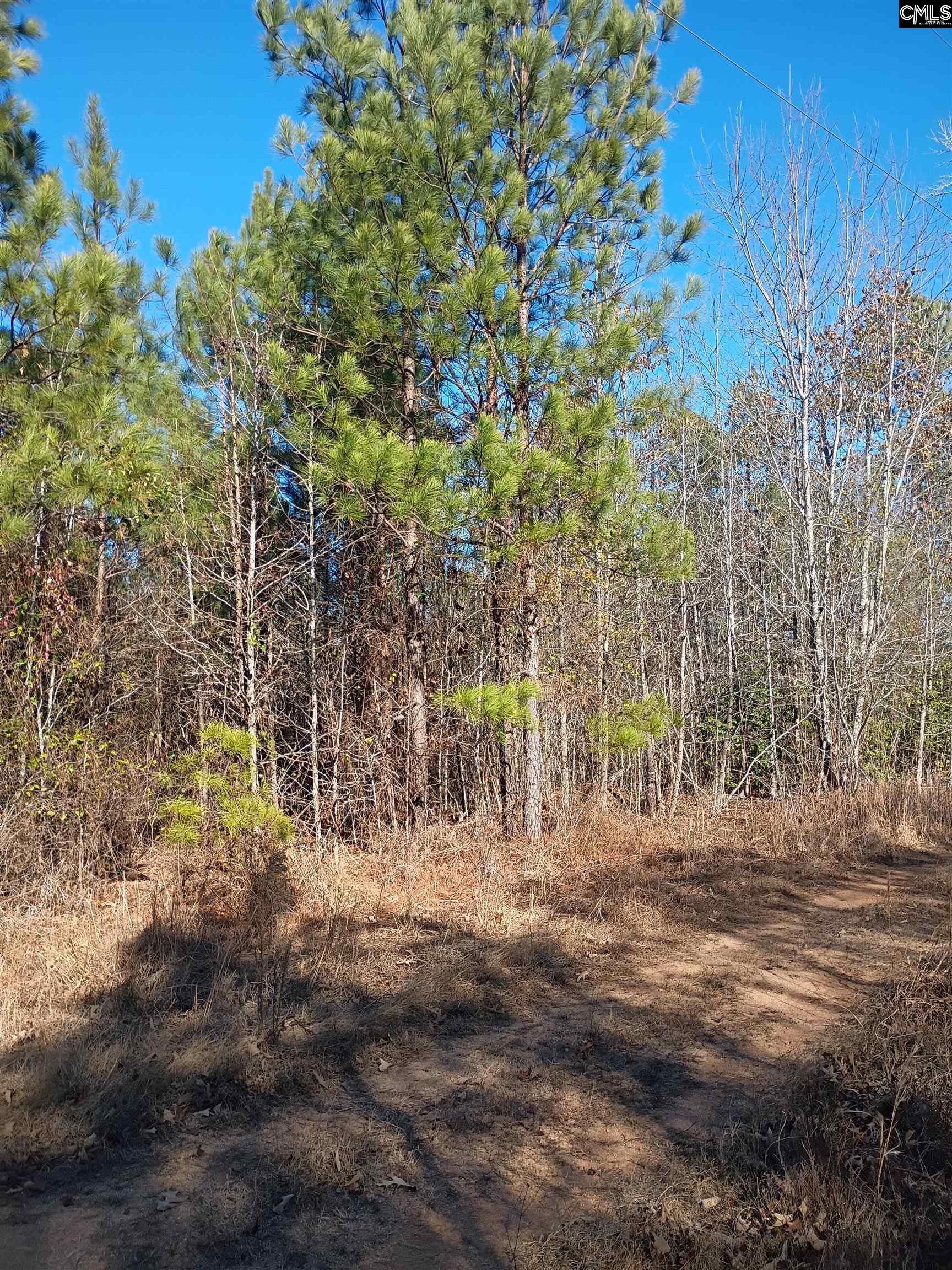 1164 Calvins Road Camden, SC 29020 - Photo 4 of 6