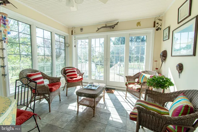 a living room filled with furniture and a potted plant