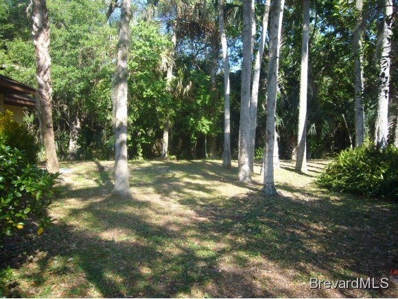 1110 Gary Hunt Road, Unit B Cocoa, FL 32926 - Photo 11 of 11 Additional Photo