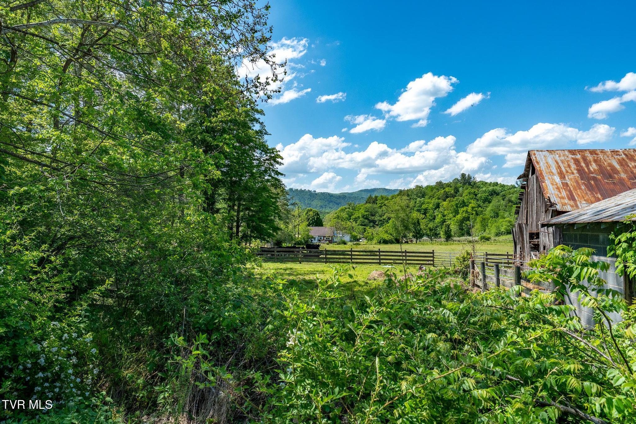 517 Mill Creek Road Mountain City, TN 37683 - Photo 39 of 52 517 Mill Creek Road (42 of 52)