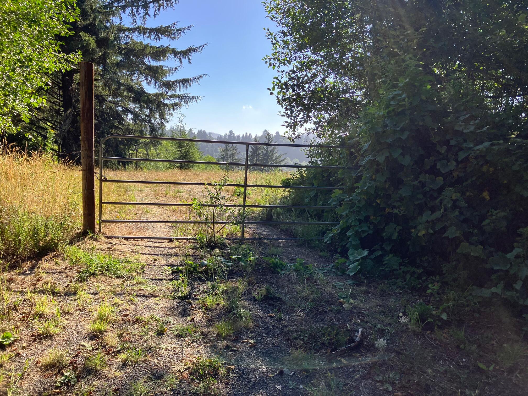 0 Mattole Road Ferndale, CA 95536 - Photo 2 of 10