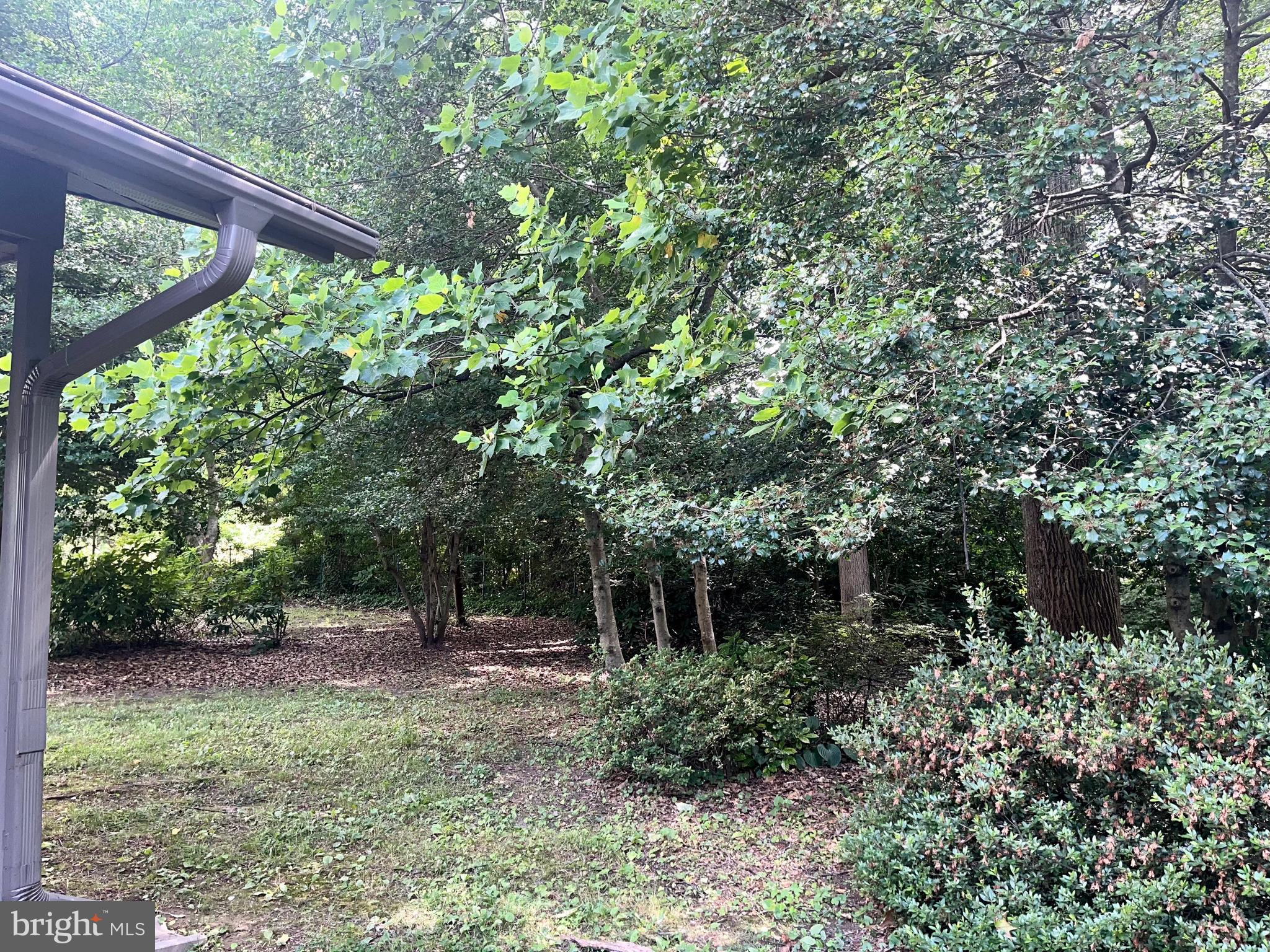 3267 Stepney Street Edgewater, MD 21037 - Photo 3 of 31 Right side of house - beautiful shrubs and trees