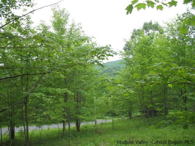 Tbd Dimmick Mountain Road, Unit NOAH'S LANE Denver, NY 12421 - Photo 1 of 17 Photo 1