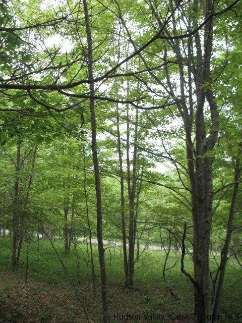 Tbd Dimmick Mountain Road, Unit NOAH'S LANE Denver, NY 12421 - Photo 11 of 17 Photo 11