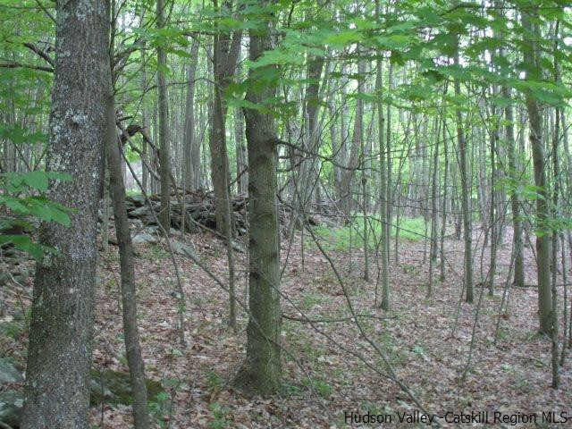 Tbd Dimmick Mountain Road, Unit NOAH'S LANE Denver, NY 12421 - Photo 12 of 17 Photo 12