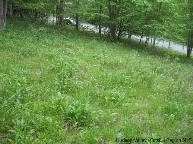 Tbd Dimmick Mountain Road, Unit NOAH'S LANE Denver, NY 12421 - Photo 13 of 17 Photo 13