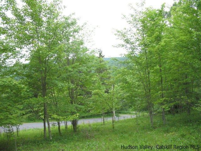 Tbd Dimmick Mountain Road, Unit NOAH'S LANE Denver, NY 12421 - Photo 14 of 17 Photo 14