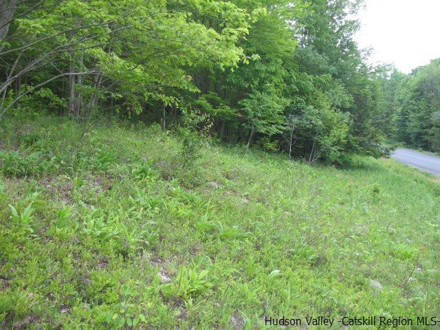 Tbd Dimmick Mountain Road, Unit NOAH'S LANE Denver, NY 12421 - Photo 15 of 17 Photo 15