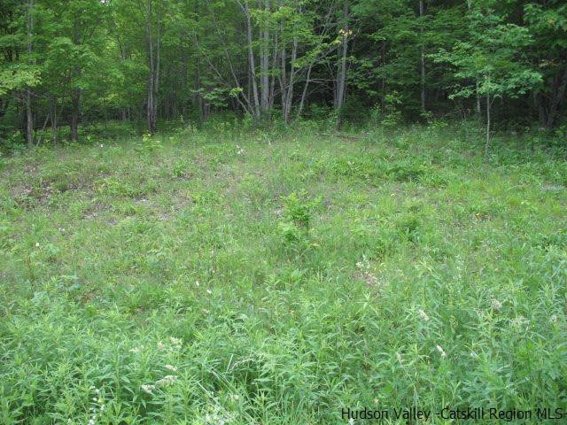 Tbd Dimmick Mountain Road, Unit NOAH'S LANE Denver, NY 12421 - Photo 16 of 17 Photo 16