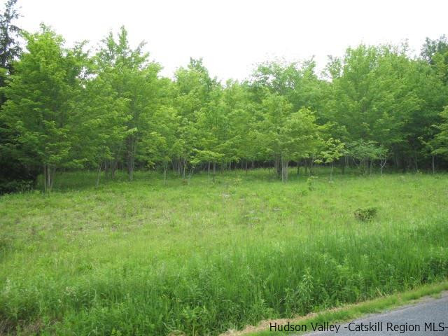 Tbd Dimmick Mountain Road, Unit NOAH'S LANE Denver, NY 12421 - Photo 2 of 17 Photo 2