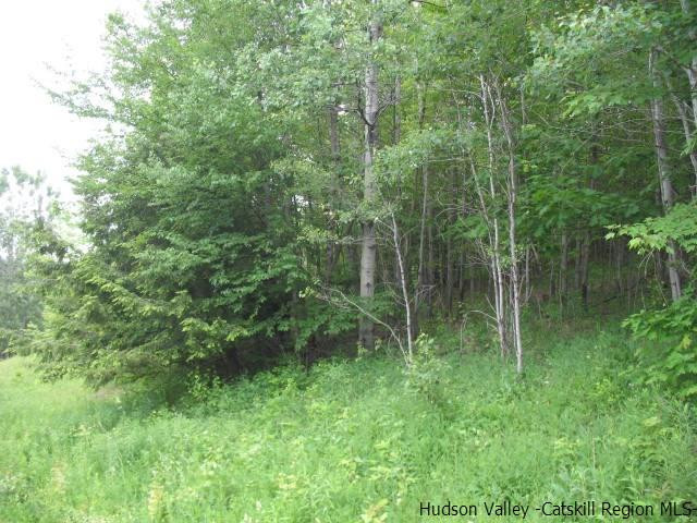 Tbd Dimmick Mountain Road, Unit NOAH'S LANE Denver, NY 12421 - Photo 3 of 17 Photo 3