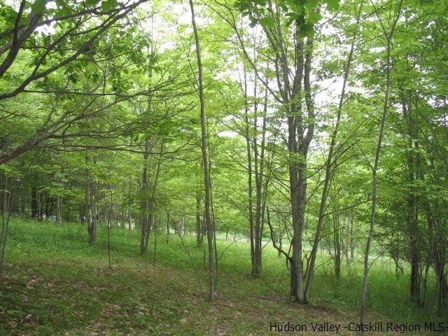 Tbd Dimmick Mountain Road, Unit NOAH'S LANE Denver, NY 12421 - Photo 4 of 17 Photo 4