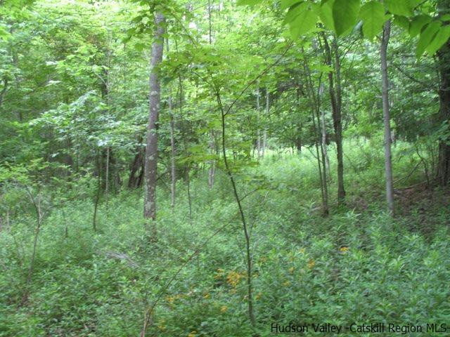 Tbd Dimmick Mountain Road, Unit NOAH'S LANE Denver, NY 12421 - Photo 5 of 17 Photo 5