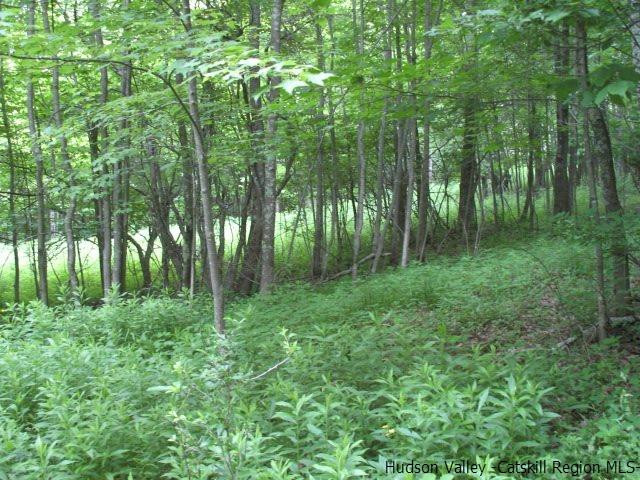 Tbd Dimmick Mountain Road, Unit NOAH'S LANE Denver, NY 12421 - Photo 6 of 17 Photo 6