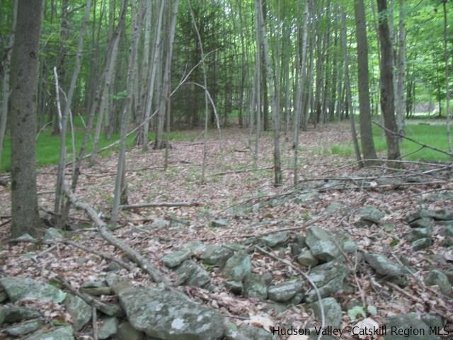 Tbd Dimmick Mountain Road, Unit NOAH'S LANE Denver, NY 12421 - Photo 8 of 17 Photo 8