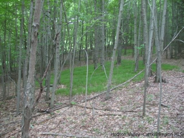 Tbd Dimmick Mountain Road, Unit NOAH'S LANE Denver, NY 12421 - Photo 9 of 17 Photo 9