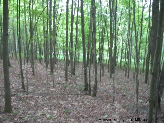 Tbd Dimmick Mountain Road, Unit NOAH'S LANE Denver, NY 12421 - Photo 10 of 17 Photo 10