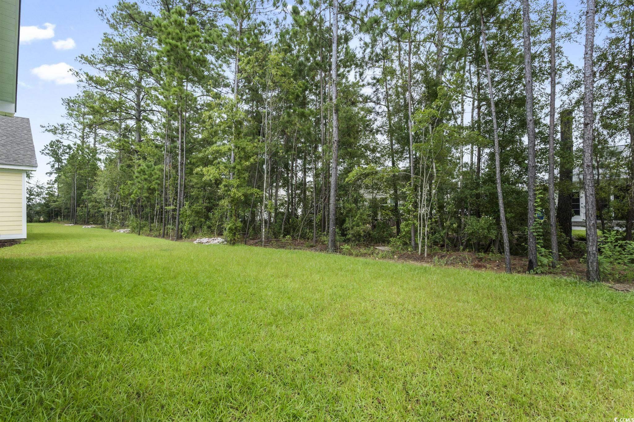 3139 Tiger Tail Road Conway, SC 29526 - Photo 35 of 39