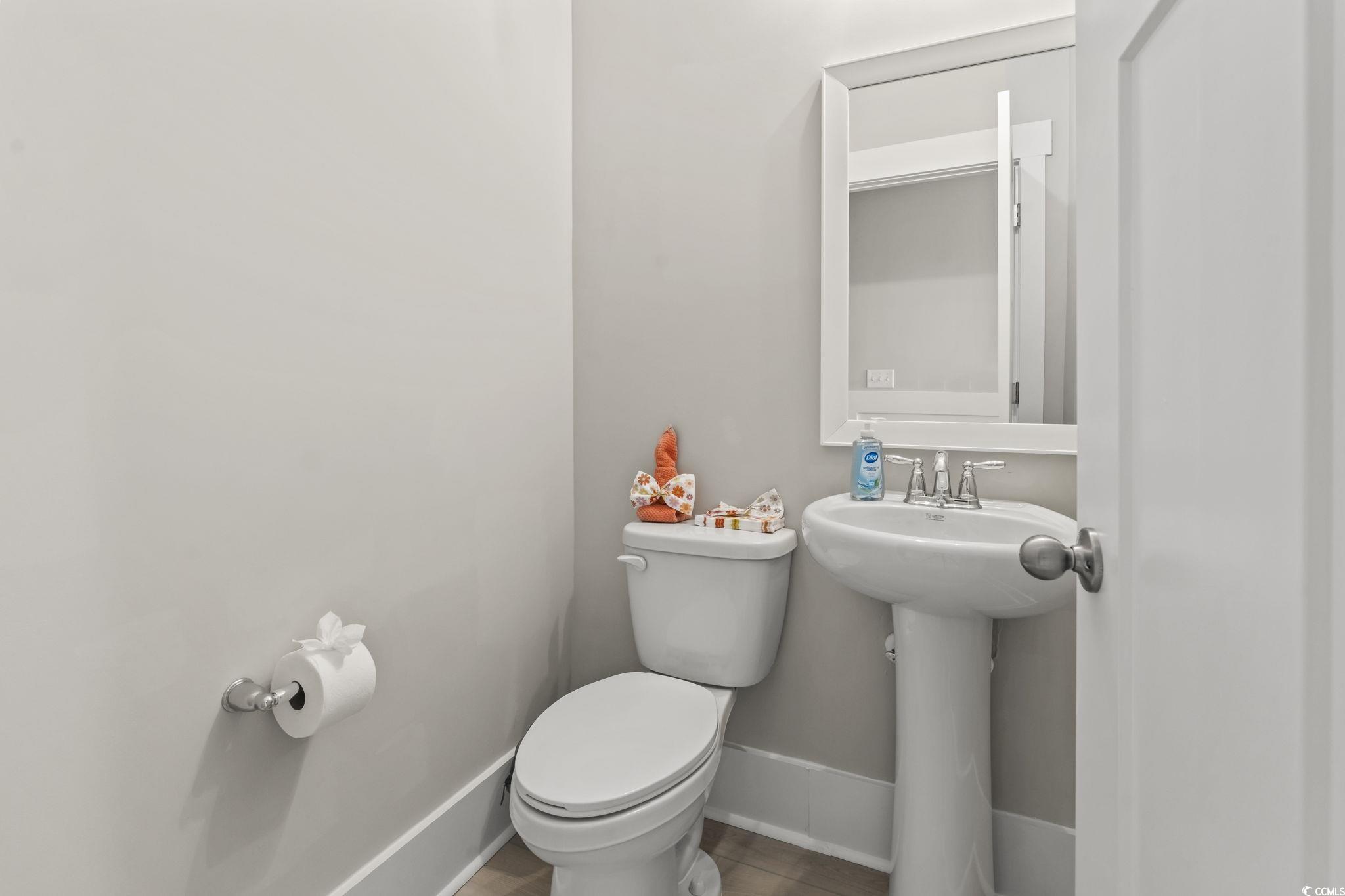 3139 Tiger Tail Road Conway, SC 29526 - Photo 39 of 39