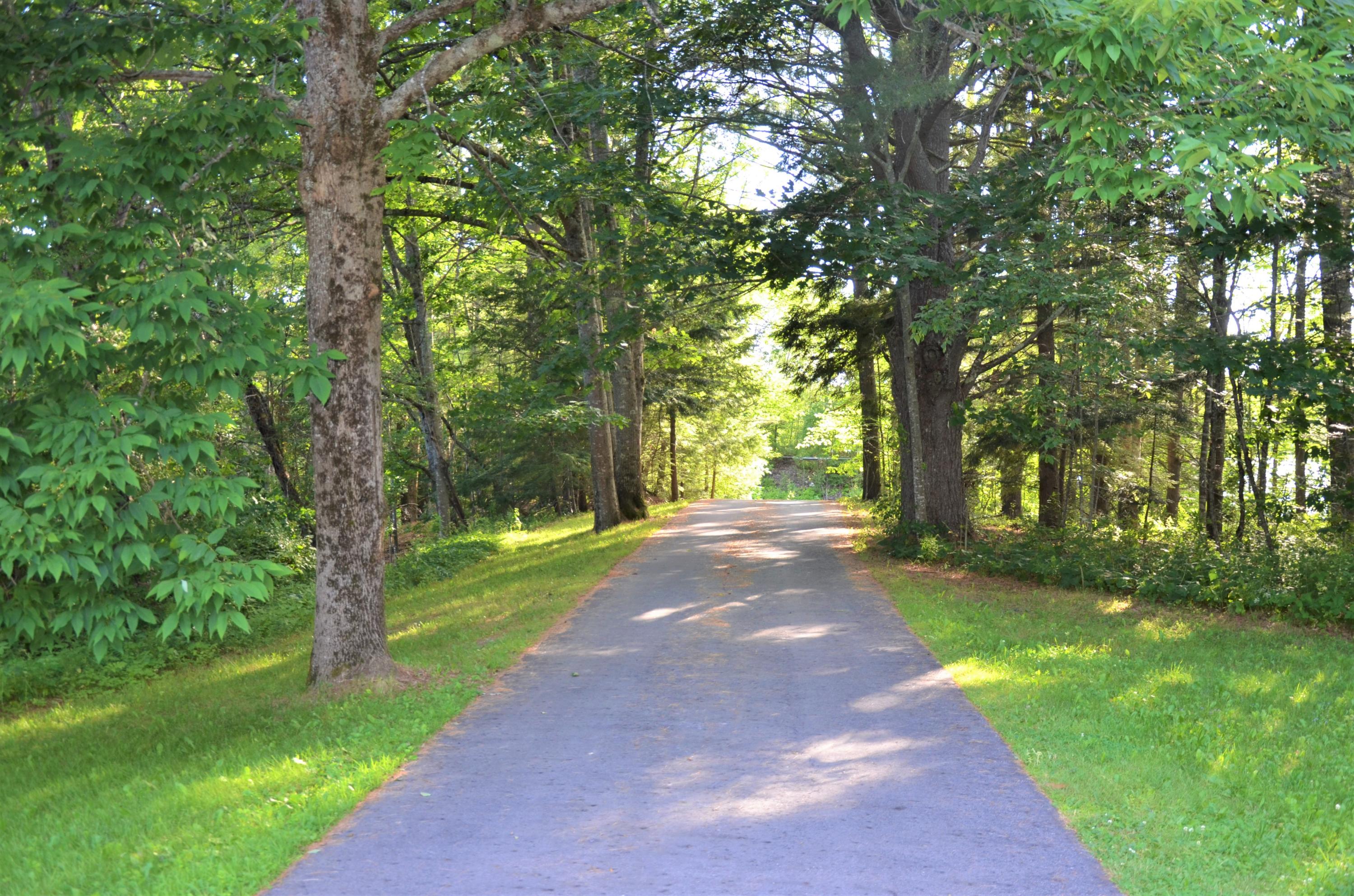 632 Cedar Grove Road Dresden, ME 04342 - Photo 20 of 21 20 Driveway